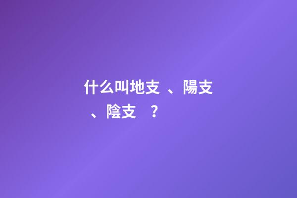 什么叫地支、陽支、陰支？
